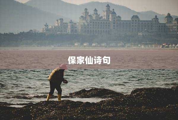 保家仙诗句