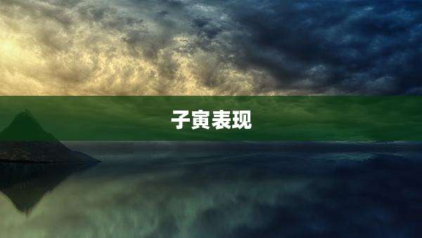 子寅表现