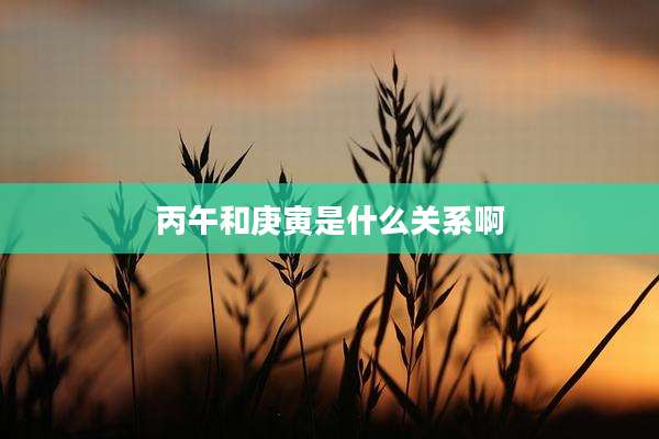 丙午和庚寅是什么关系啊