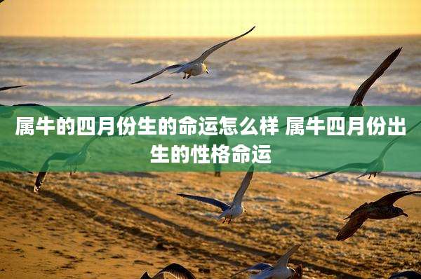 属牛的四月份生的命运怎么样 属牛四月份出生的性格命运