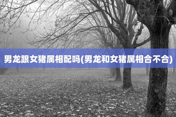 男龙跟女猪属相配吗(男龙和女猪属相合不合)