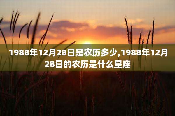 1988年12月28日是农历多少,1988年12月28日的农历是什么星座