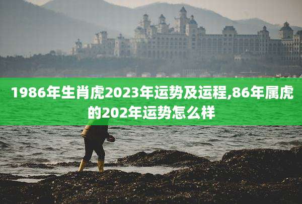 1986年生肖虎2023年运势及运程,86年属虎的202年运势怎么样