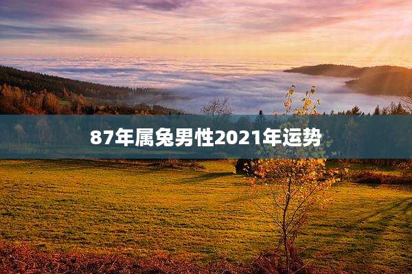 87年属兔男性2021年运势