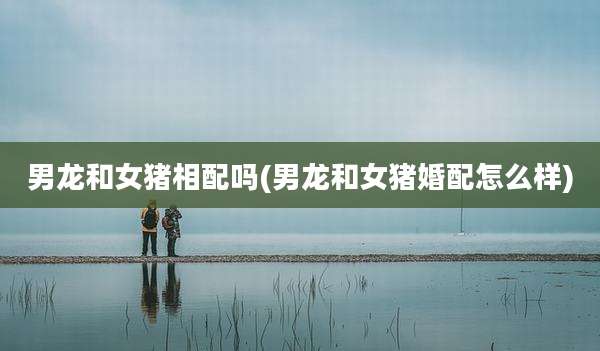 男龙和女猪相配吗(男龙和女猪婚配怎么样)
