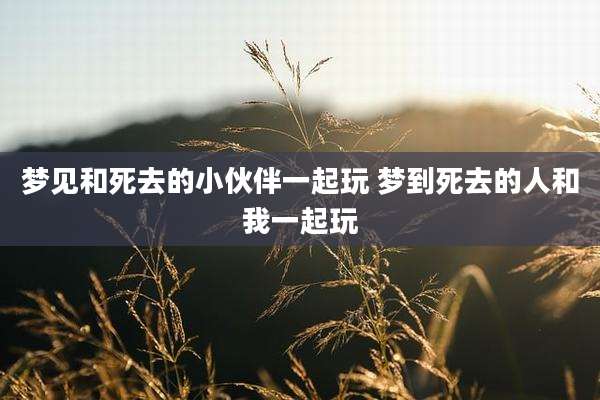 梦见和死去的小伙伴一起玩 梦到死去的人和我一起玩