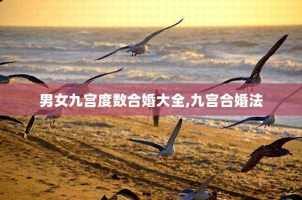 男女九宫度数合婚大全,九宫合婚法