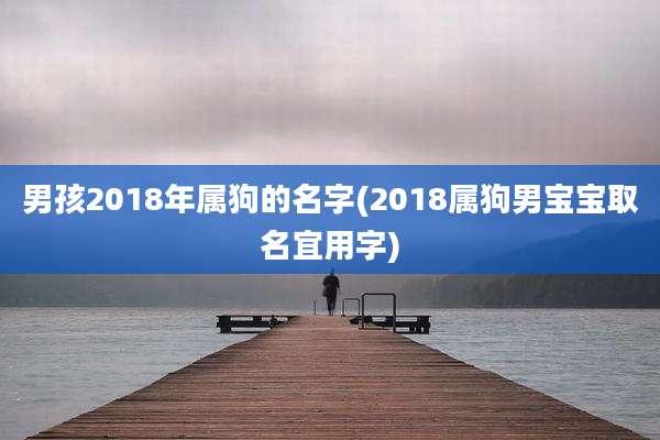 男孩2018年属狗的名字(2018属狗男宝宝取名宜用字)