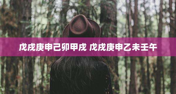戊戌庚申己卯甲戌 戊戌庚申乙未壬午