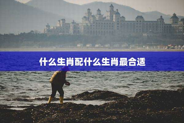 什么生肖配什么生肖最合适