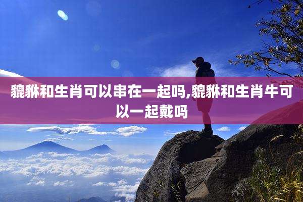 貔貅和生肖可以串在一起吗,貔貅和生肖牛可以一起戴吗