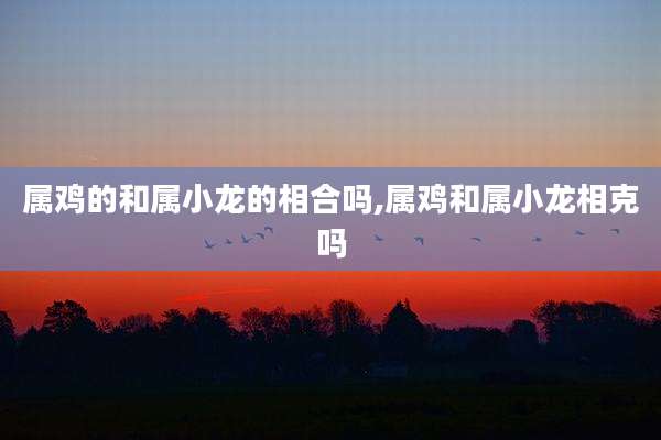 属鸡的和属小龙的相合吗,属鸡和属小龙相克吗
