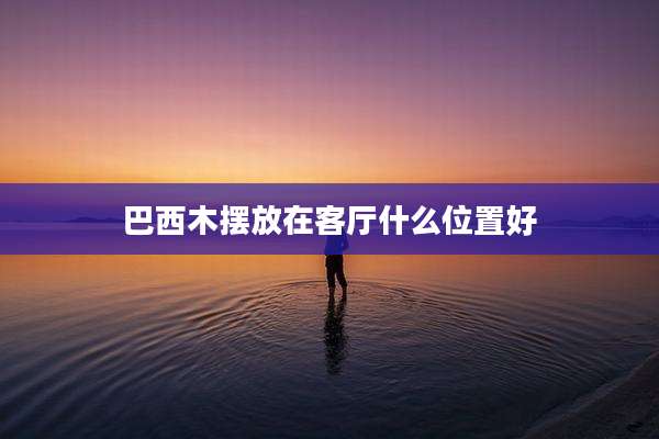 巴西木摆放在客厅什么位置好