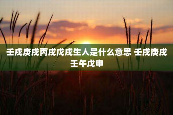 壬戌庚戌丙戌戊戌生人是什么意思 壬戌庚戌壬午戊申