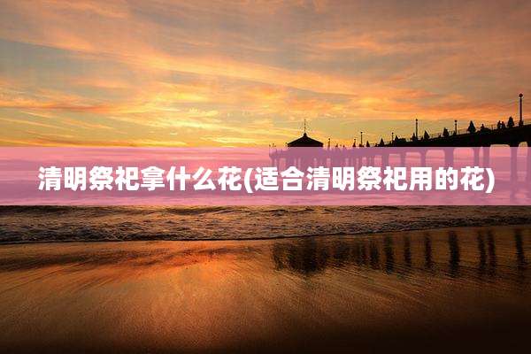 清明祭祀拿什么花(适合清明祭祀用的花)