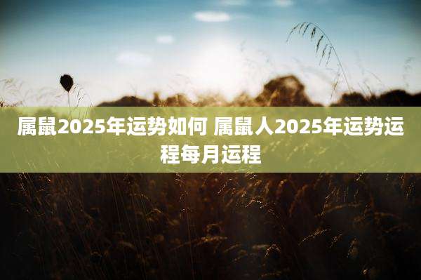 属鼠2025年运势如何 属鼠人2025年运势运程每月运程
