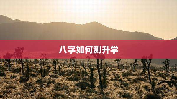 八字如何测升学