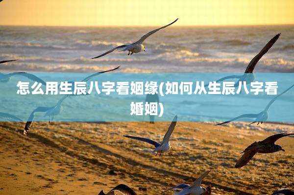 怎么用生辰八字看姻缘(如何从生辰八字看婚姻)