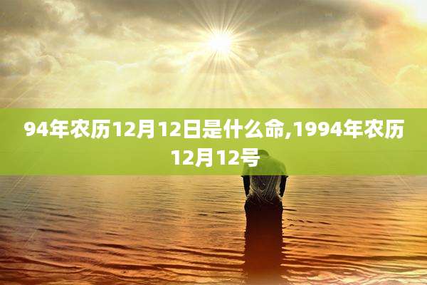 94年农历12月12日是什么命,1994年农历12月12号