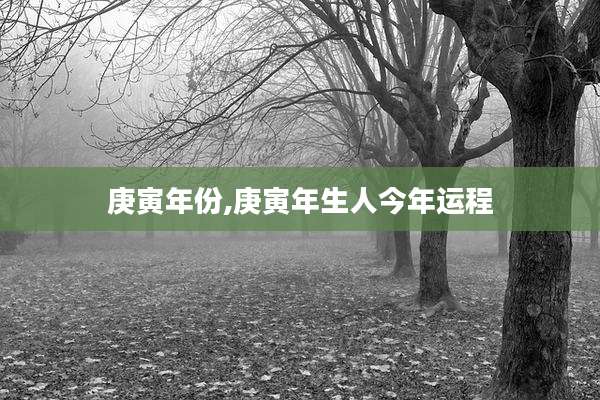 庚寅年份,庚寅年生人今年运程