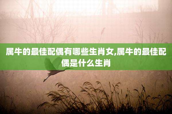 属牛的最佳配偶有哪些生肖女,属牛的最佳配偶是什么生肖