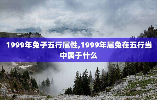 1999年兔子五行属性,1999年属兔在五行当中属于什么