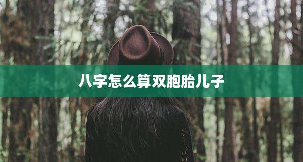 八字怎么算双胞胎儿子