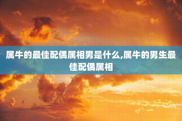 属牛的最佳配偶属相男是什么,属牛的男生最佳配偶属相