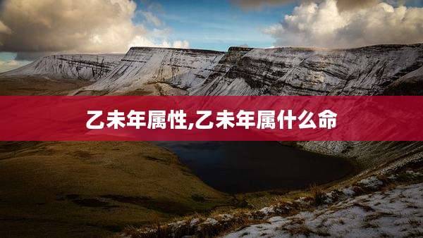 乙未年属性,乙未年属什么命