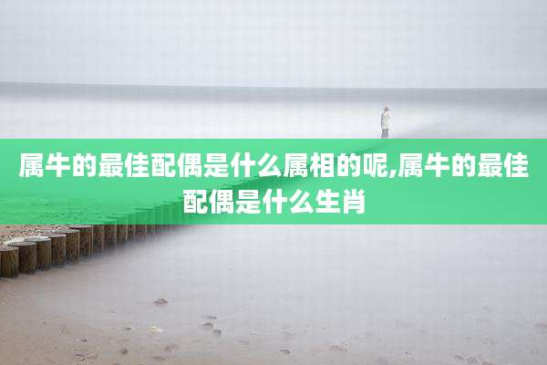 属牛的最佳配偶是什么属相的呢,属牛的最佳配偶是什么生肖