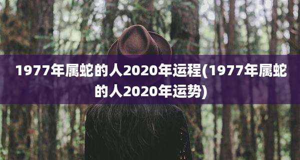 1977年属蛇的人2020年运程(1977年属蛇的人2020年运势)