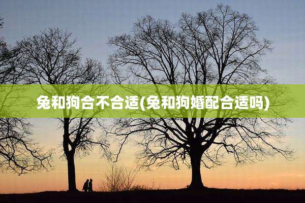 兔和狗合不合适(兔和狗婚配合适吗)