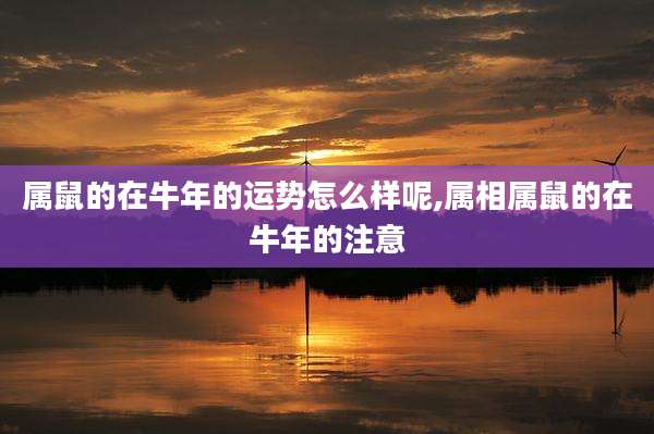 属鼠的在牛年的运势怎么样呢,属相属鼠的在牛年的注意