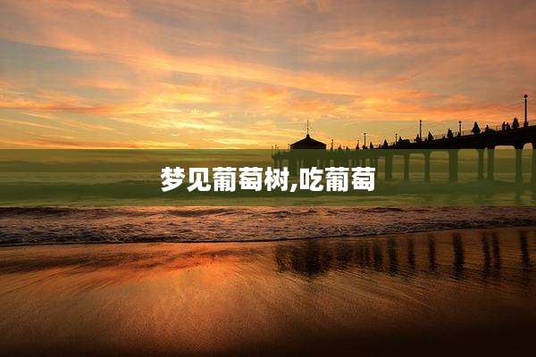 梦见葡萄树,吃葡萄