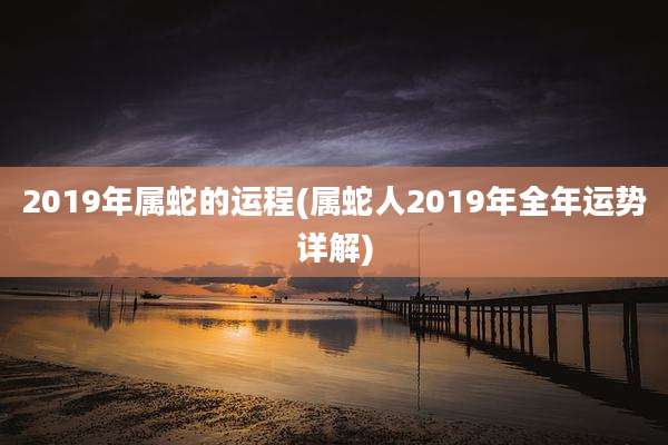 2019年属蛇的运程(属蛇人2019年全年运势详解)