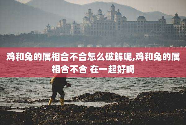 鸡和兔的属相合不合怎么破解呢,鸡和兔的属相合不合 在一起好吗
