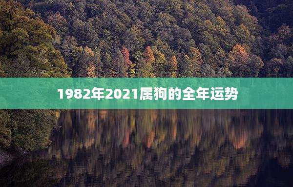 1982年2021属狗的全年运势
