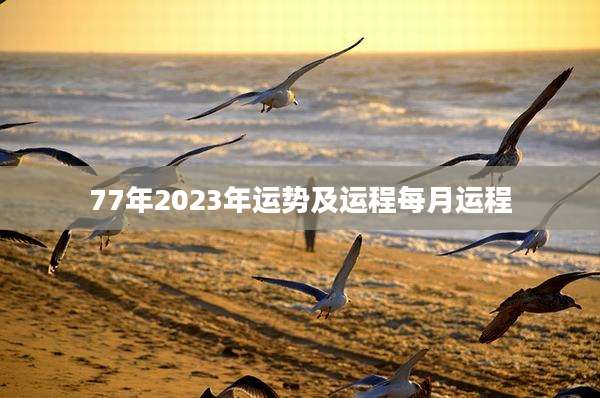 77年2023年运势及运程每月运程