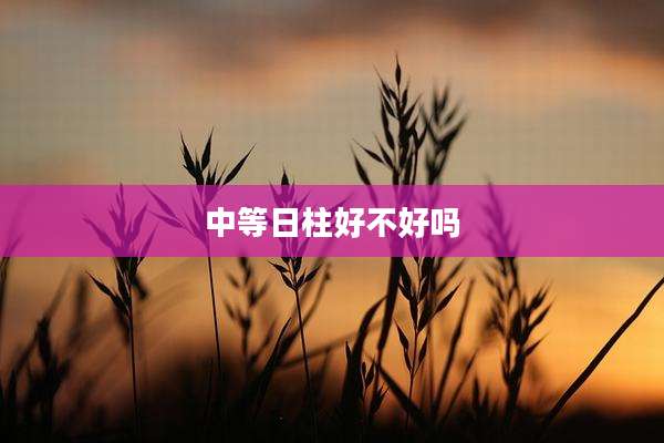 中等日柱好不好吗