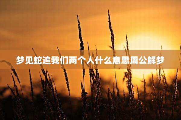 梦见蛇追我们两个人什么意思周公解梦