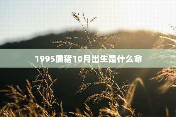 1995属猪10月出生是什么命