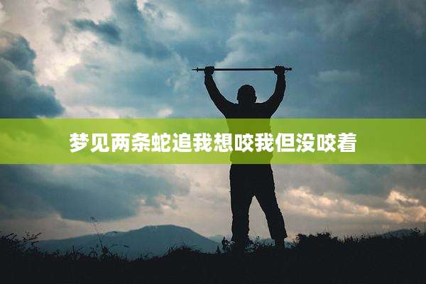 梦见两条蛇追我想咬我但没咬着