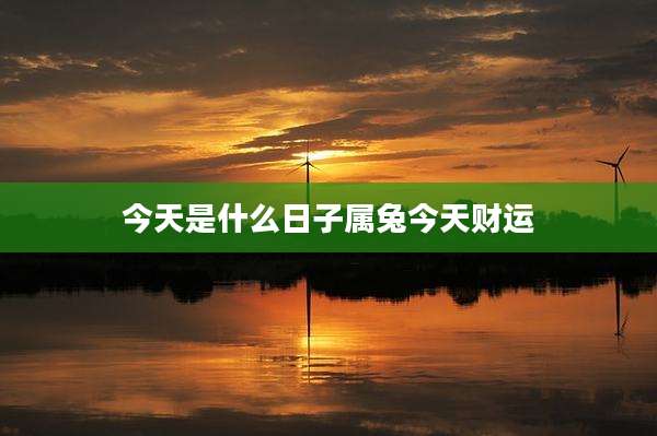 今天是什么日子属兔今天财运