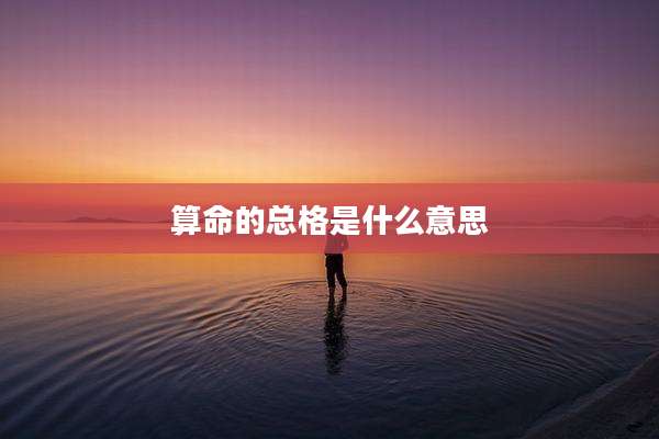 算命的总格是什么意思