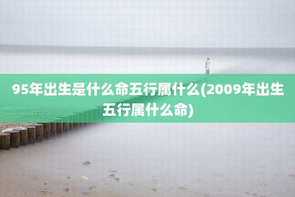 95年出生是什么命五行属什么(2009年出生五行属什么命)