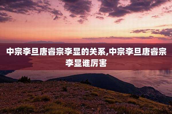中宗李旦唐睿宗李显的关系,中宗李旦唐睿宗李显谁厉害