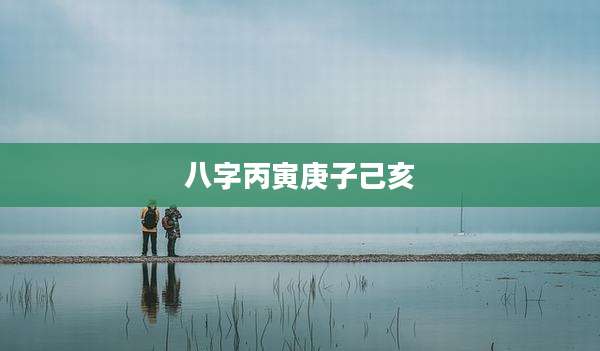 八字丙寅庚子己亥