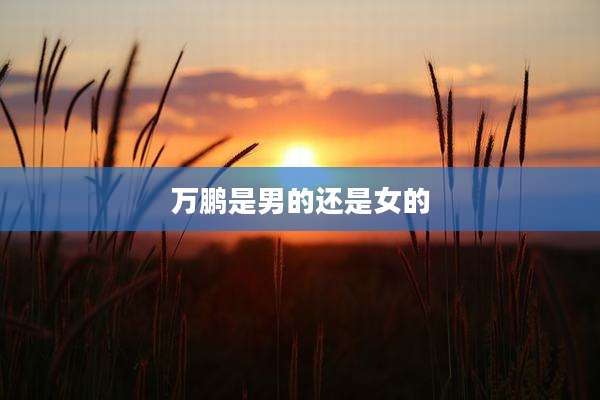 万鹏是男的还是女的