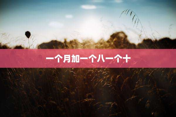 一个月加一个八一个十