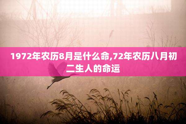 1972年农历8月是什么命,72年农历八月初二生人的命运